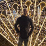 MatzeVienna MatzeVienna